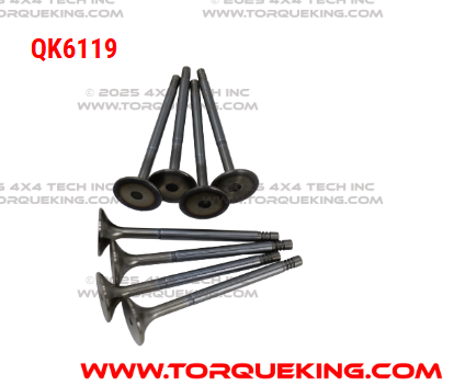 QK6119 Roxor Complete Valve Seat Set