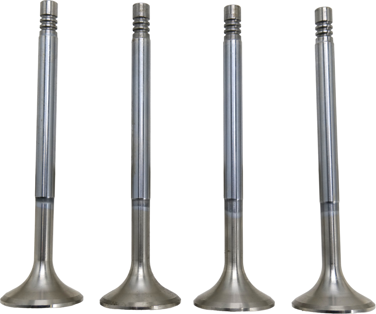 QK6123 Roxor Exhaust Valve Set