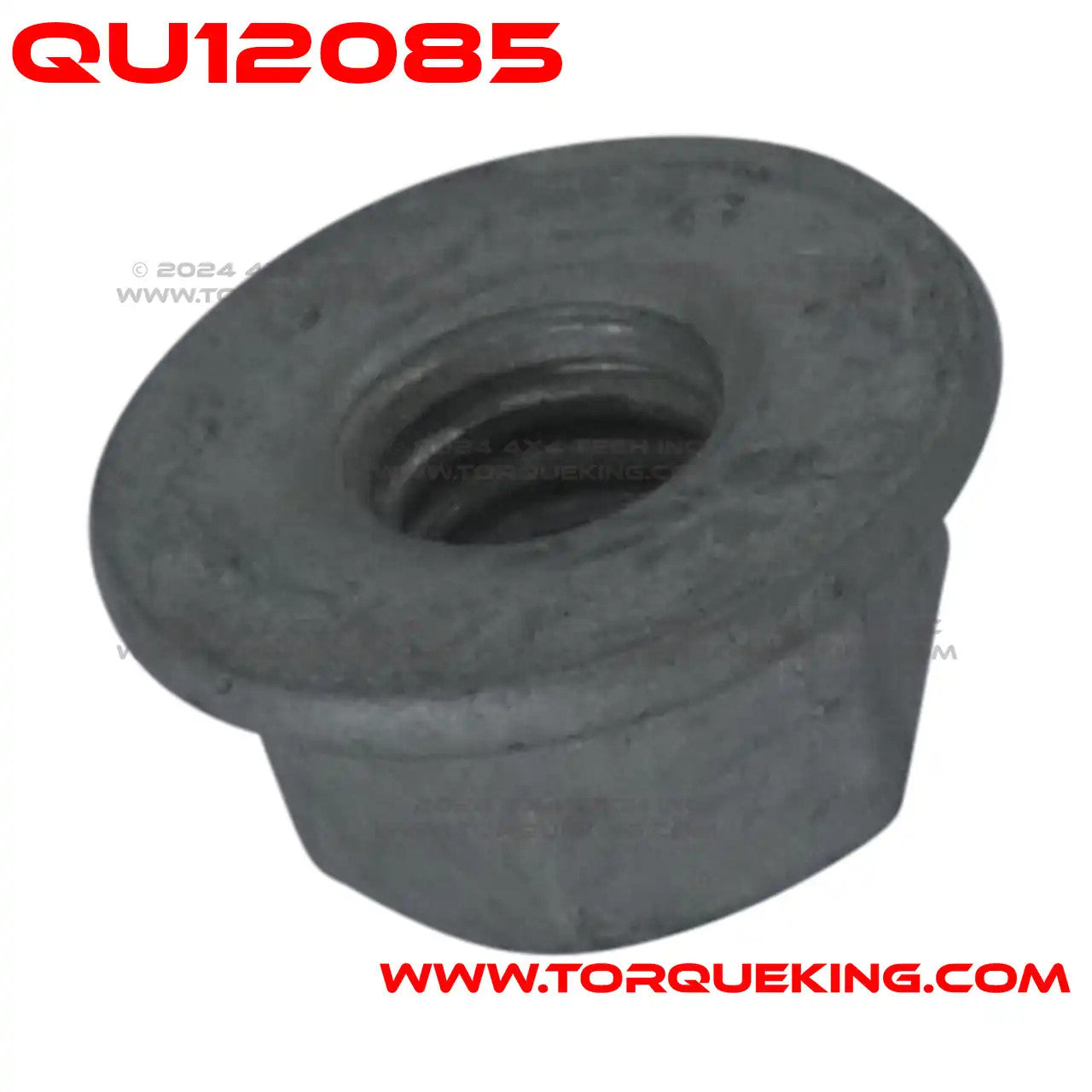 Nut, Electric Coil to Borg Warner Transfer Case