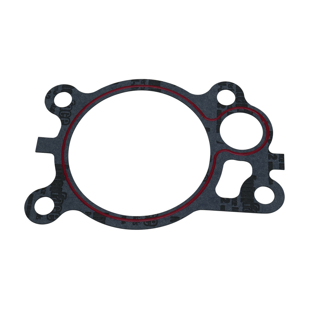 QU15534 Roxor Water Pump Gasket Torque King 4x4