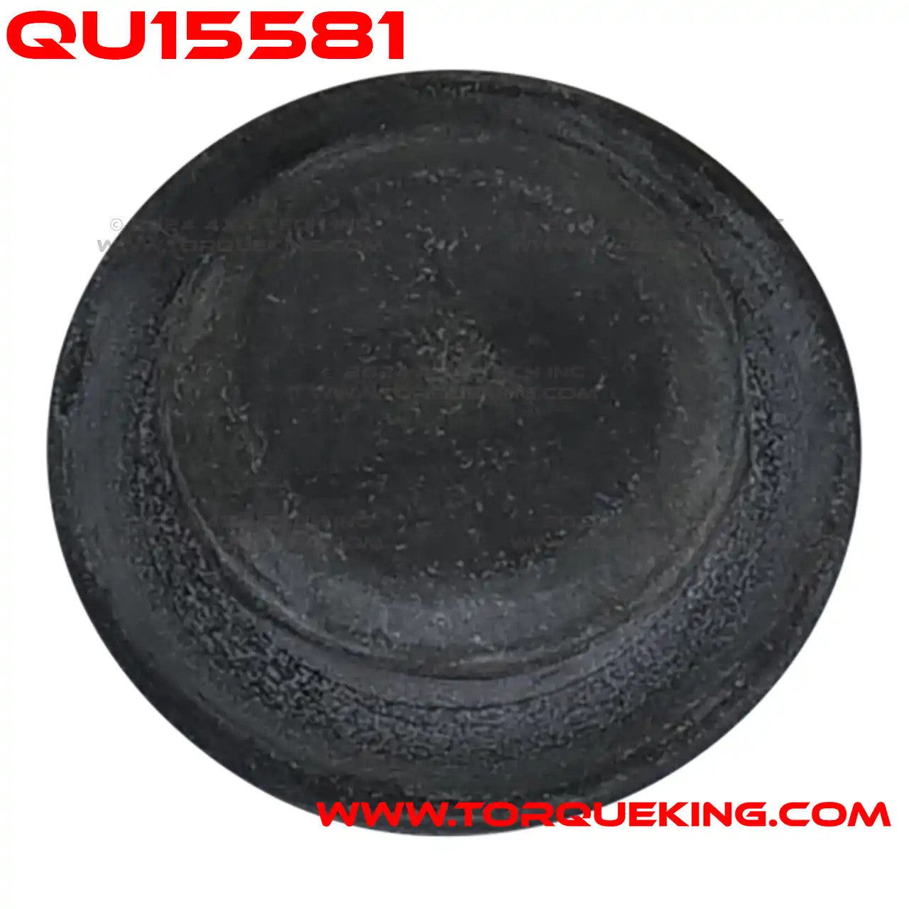 QU15581 Roxor Brake Shoe Inspection Plug