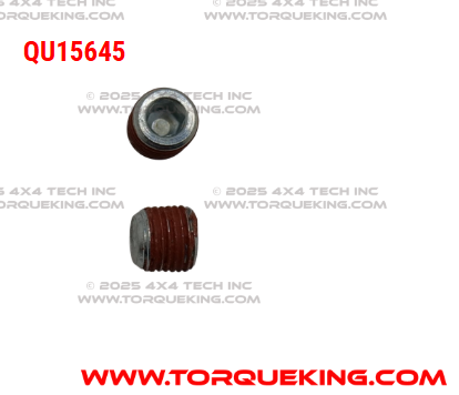 QU15645 Roxor Engine Oil Port Small Plug Torque King 4x4