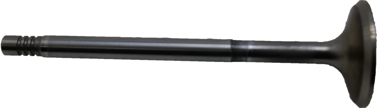 QU15669 Roxor Intake Valve