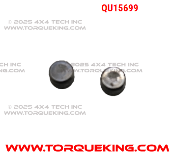 QU15699 Roxor Small Cylinder Head Freeze Plug