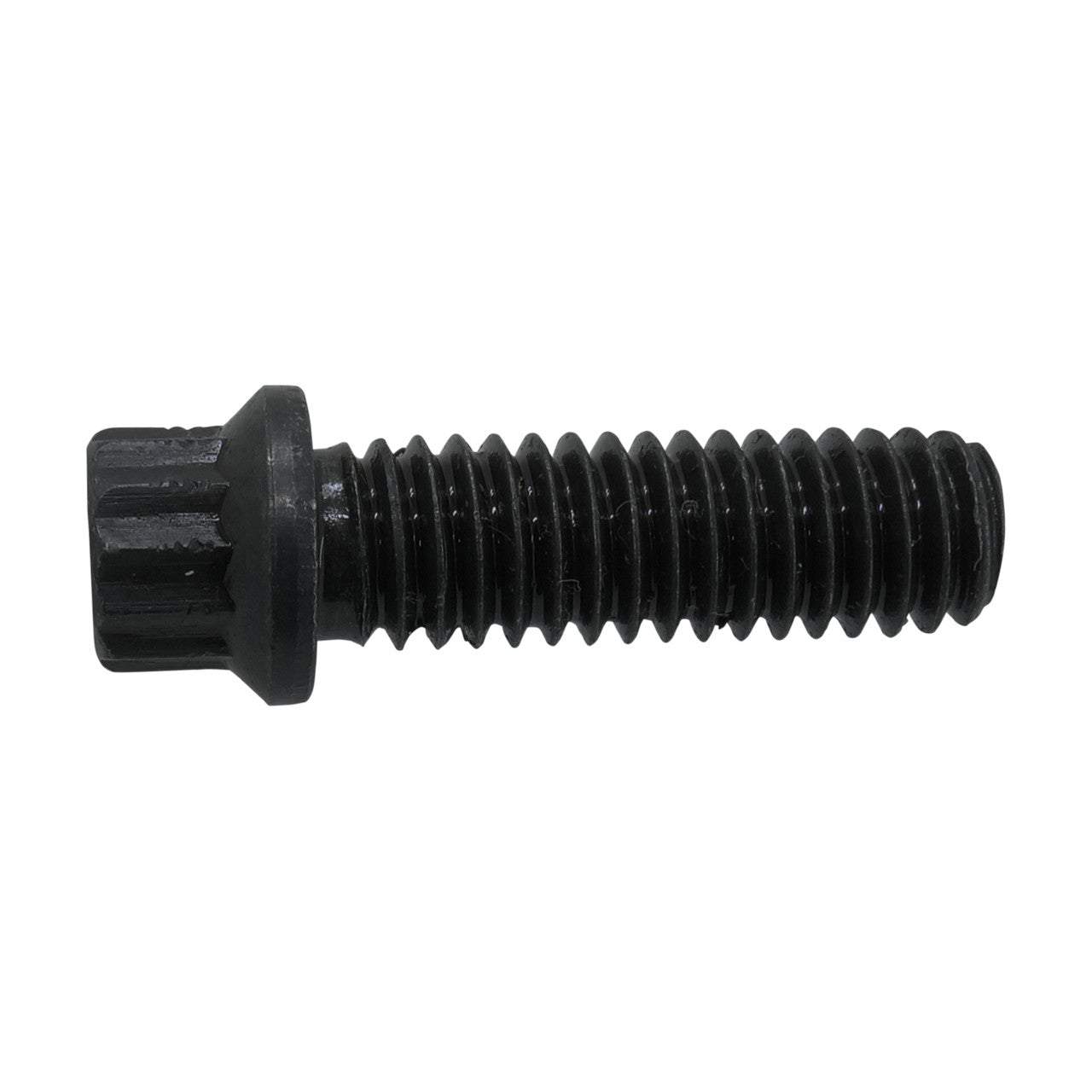QU90056 12 point 5/16" x 1" Coarse Thread Hardened Bolt