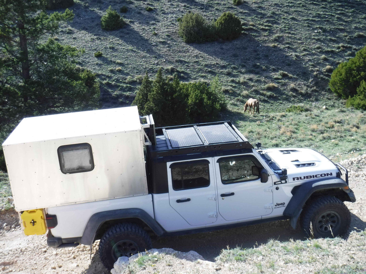 SnoGriz Mountain Camper and Wild Horse May 19, 2024