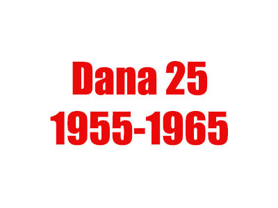 Diff & Pinion Bearings 1955-1965 Jeep Dana 25