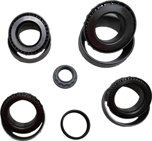 Diff & Pinion Bearings 2019-Up Ram AAM 10.5 Front