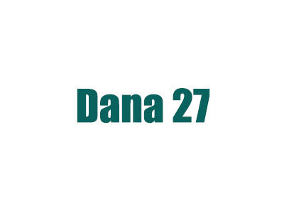 Diff & Pinion Bearings 1963-1964 Jeep Dana 27