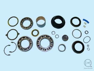 Bearing & Seal Kits 2003-2012 Ram NV271D
