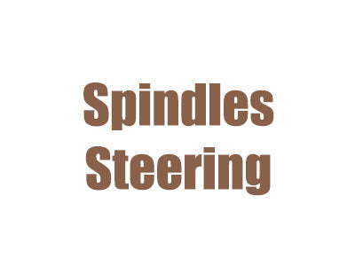 Spindles & Steering 73-80 Scout II D44 Front
