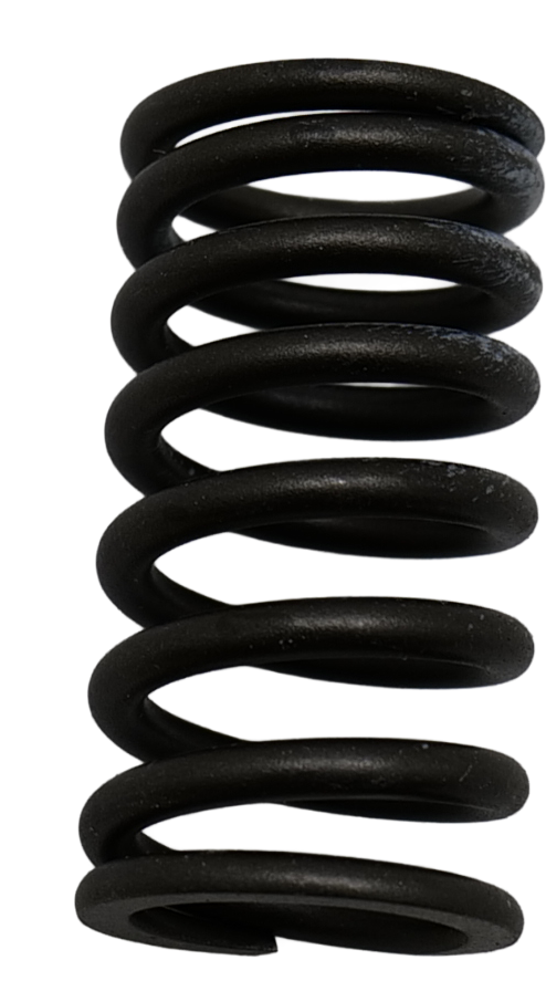 QU15690 Roxor Valve Spring