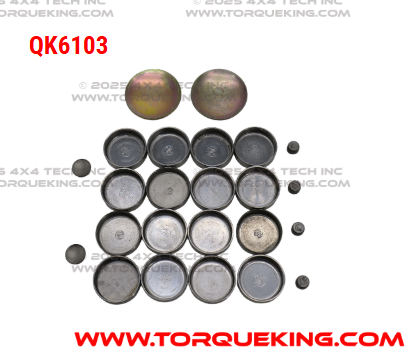 QK6103 Roxor Master Freeze Plug Replacement Kit