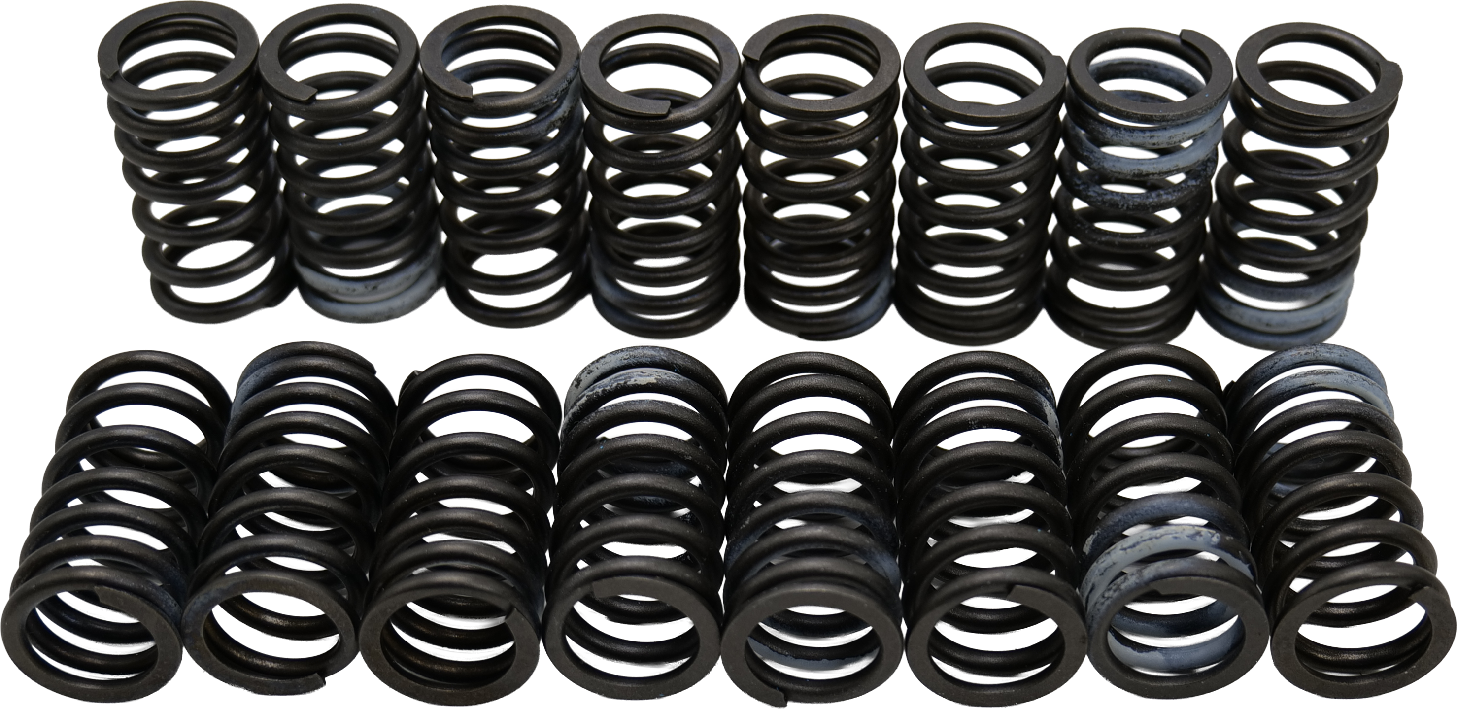 QK6121 Roxor Valve Spring Kit