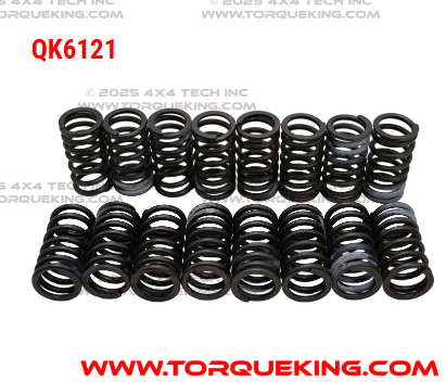 QK6121 Roxor Valve Spring Kit