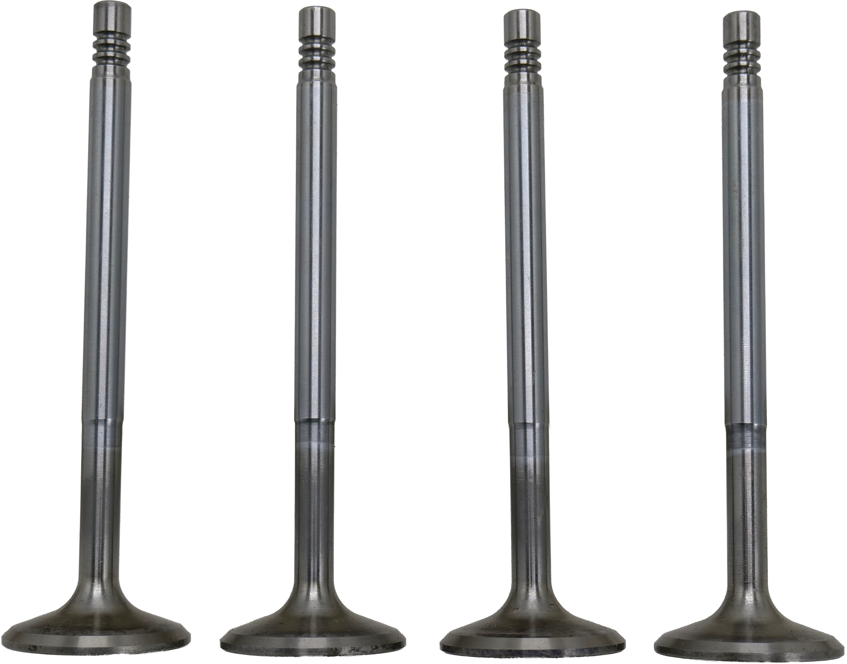 QK6122 Roxor Intake Valve Set