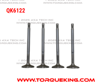 QK6122 Roxor Intake Valve Set