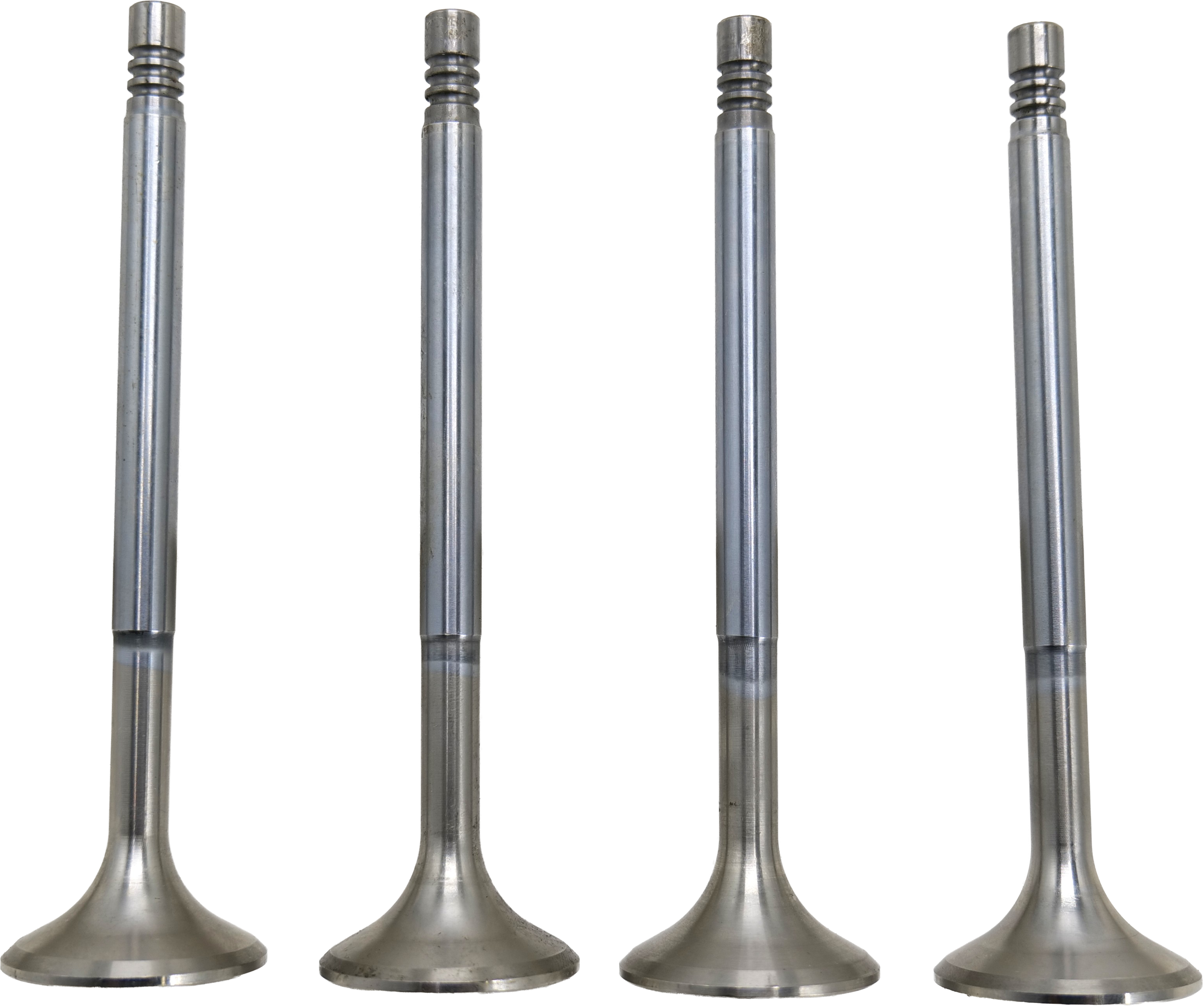 QK6123 Roxor Exhaust Valve Set