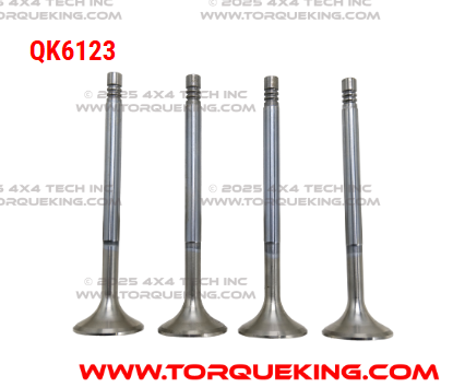 QK6123 Roxor Exhaust Valve Set