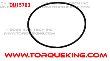 QU15703 Roxor Vacuum Pump Large O Ring