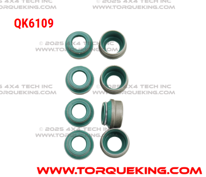 QK6109 Roxor Valve Seal Set