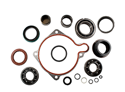 TK2524 2000-2002 NP241DHD Bearing, Seal, & Gasket Kit Torque King 4x4